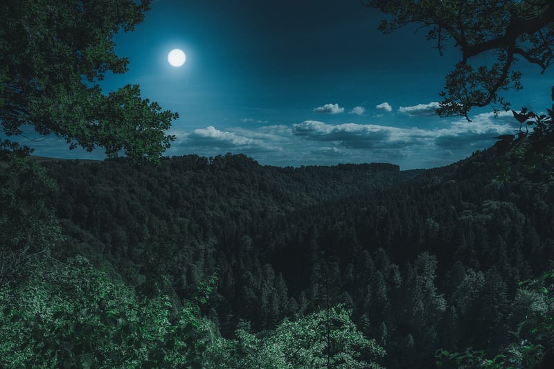 Mysterious Moonlit Night